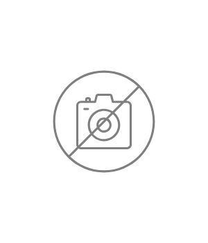 Dr Sreelatha